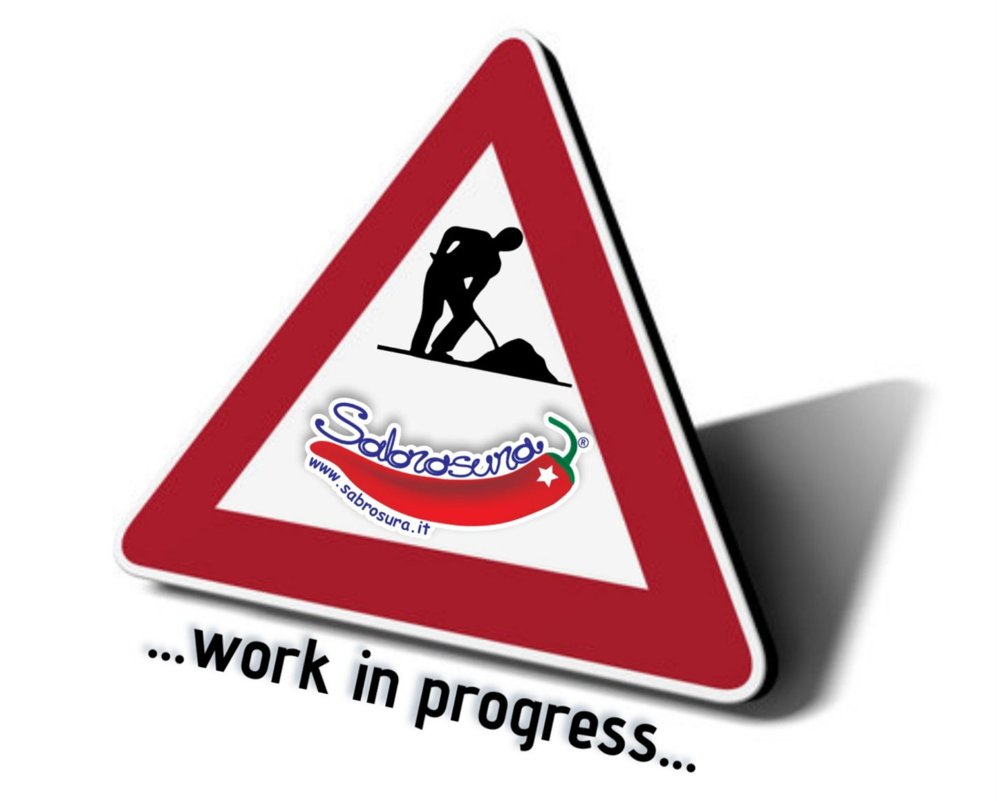 1 Lavori in corso