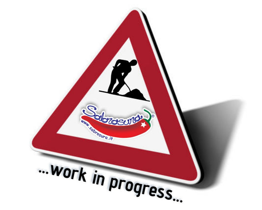 1 Lavori in corso